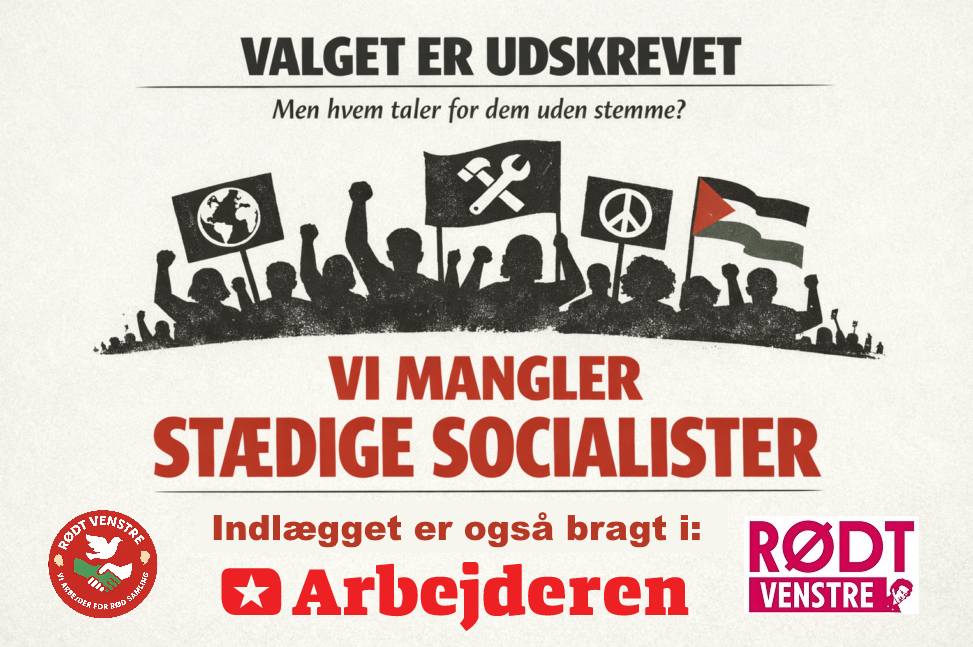 Valget er udskrevet – men hvem taler for dem uden stemme?