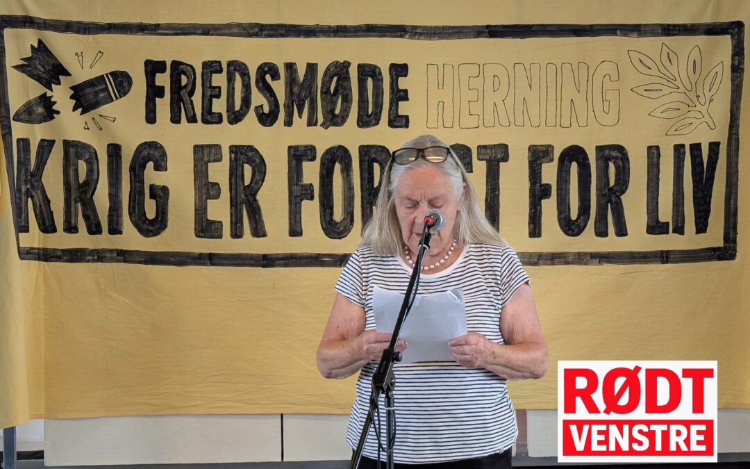 Fredens stemme lød klart i mørket, ved våbenmessen i Herning